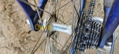 Vélo course zagers