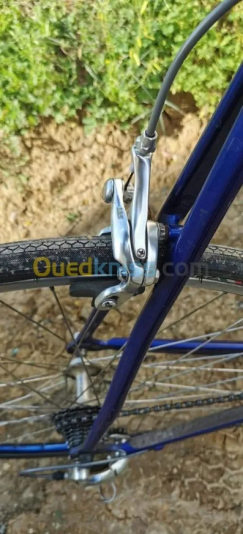 Vélo course zagers