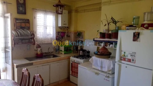 Vente Appartement F4 Ain temouchent Ain temouchent