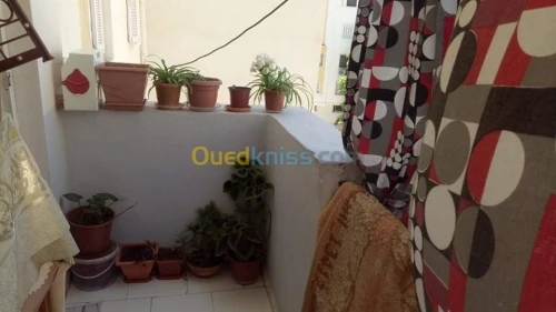 Vente Appartement F4 Ain temouchent Ain temouchent