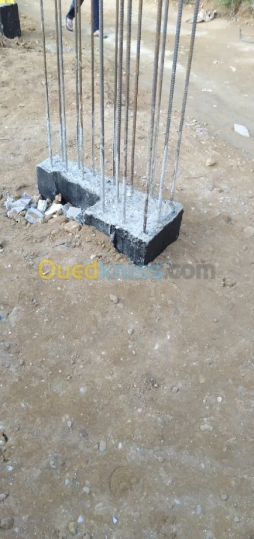 travaux de construction  en TCE