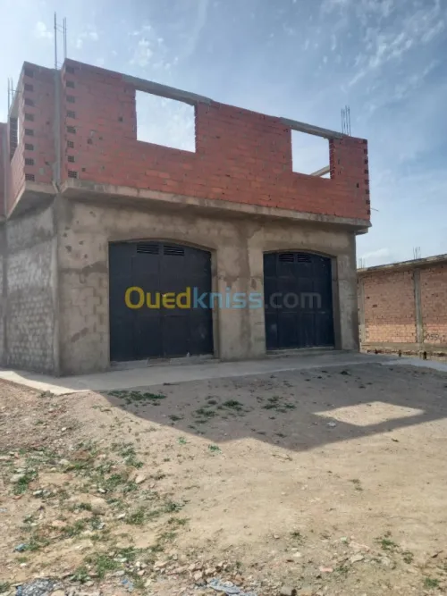 Vente Carcasse Tlemcen Marsa ben mhidi