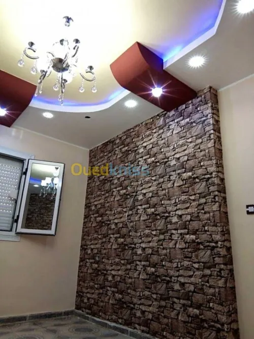 Decoration placoplatre/pvc/peinture 
