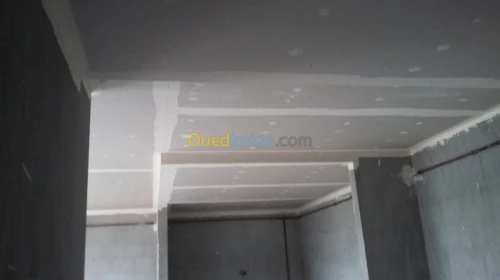 Placoplatre  pvc  decoration ba13 meub