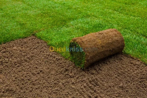 Green gold // jardinage