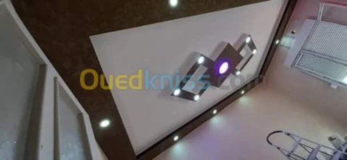Placoplatre  pvc  decoration ba13 meub