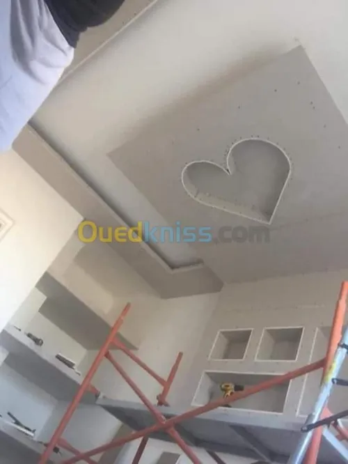 Placoplatre  pvc  decoration ba13 meub