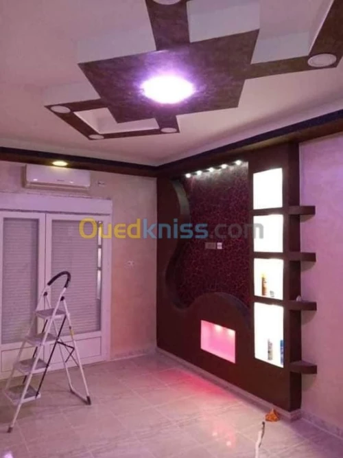 Placoplatre  pvc  decoration ba13 meub