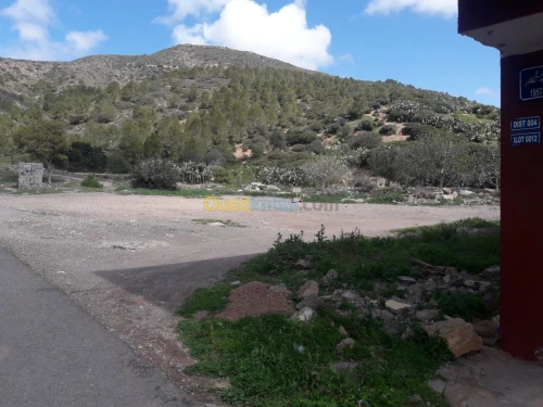 Vente Terrain Ain temouchent El emir abdelkader