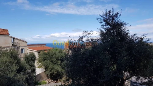 Location Appartement F3 Alger Ain benian