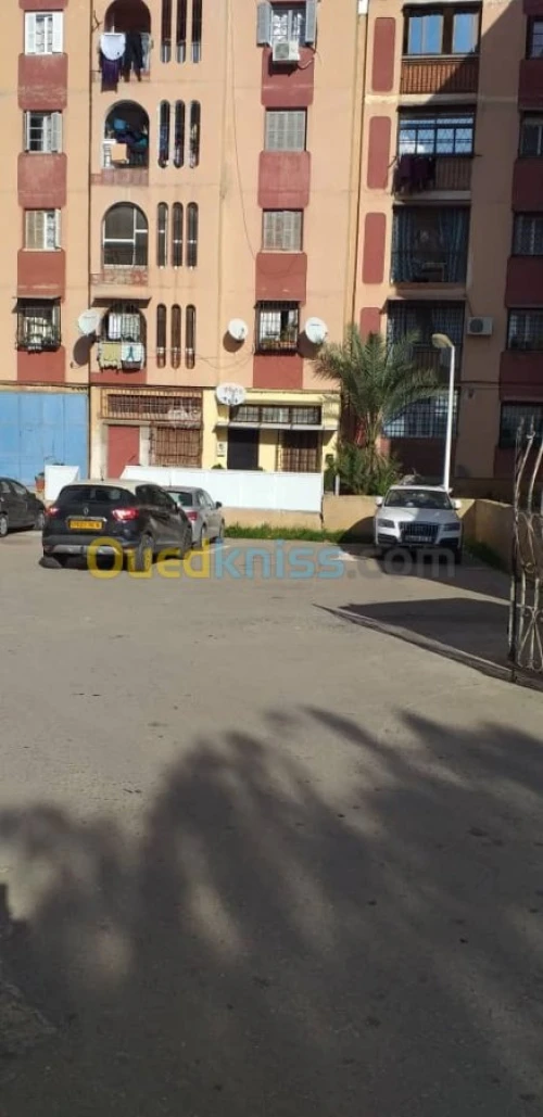 Vente Studio Alger Cheraga