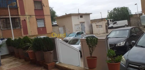 Vente Studio Alger Cheraga