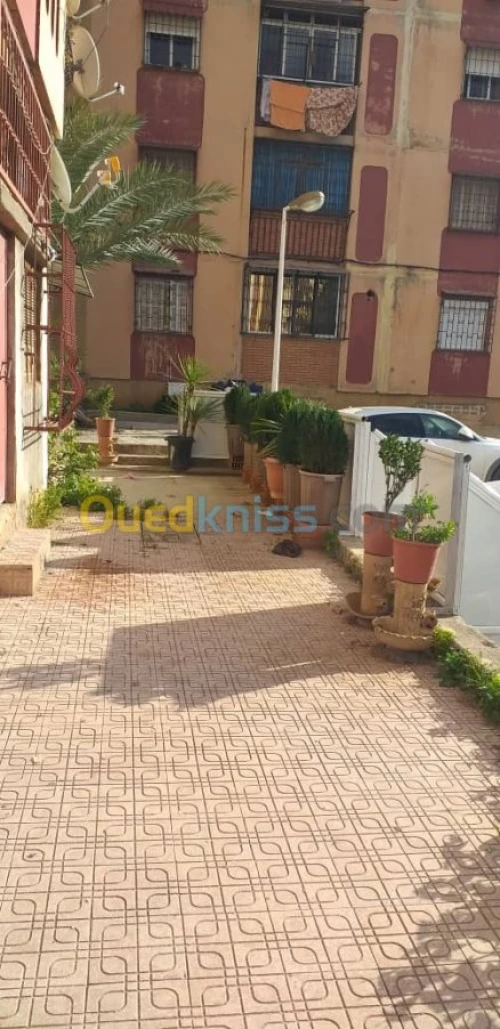 Vente Studio Alger Cheraga
