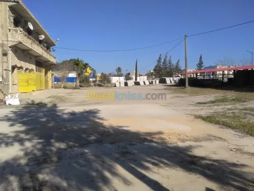 Location Local Skikda Azzaba