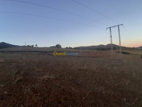Vente Terrain Ain defla Tarik ibn ziad