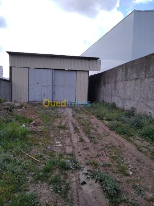 Vente Hangar Boumerdes Khemis el khechna