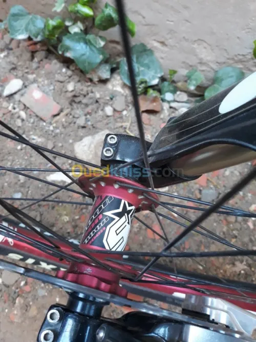 Velo dh commencal supreme