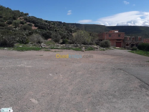 Vente Terrain Tlemcen Ain fetah