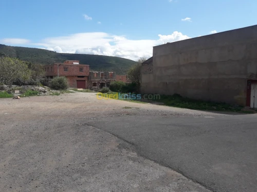 Vente Terrain Tlemcen Ain fetah