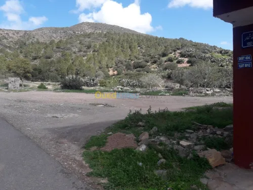 Vente Terrain Tlemcen Ain fetah