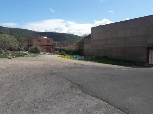 Vente Terrain Tlemcen Ain fetah