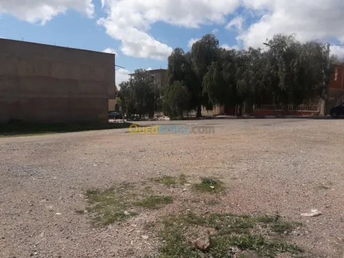 Vente Terrain Tlemcen Ain fetah