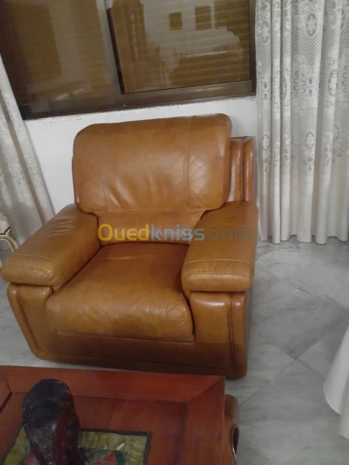 salon en cuir 