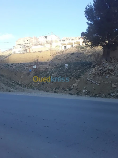 Vente Terrain Batna Teniet el abed