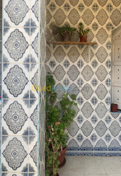 Vente Villa Souk ahras Souk ahras