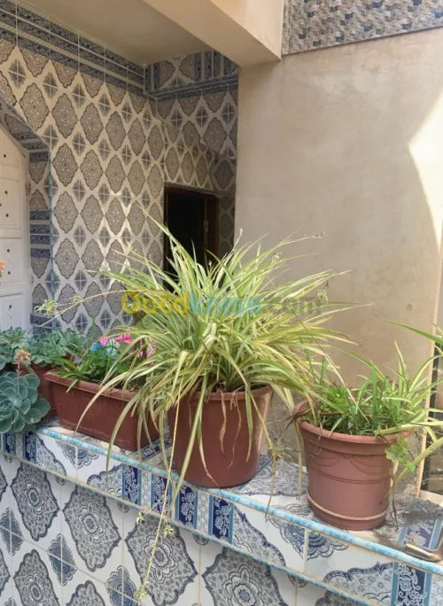 Vente Villa Souk ahras Souk ahras