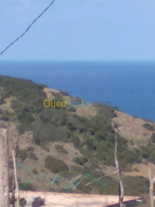 Vente Appartement F3 Annaba Chetaibi