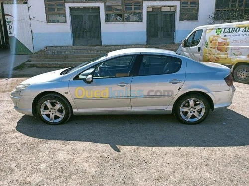 Peugeot 407 2008 