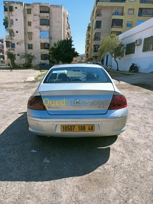 Peugeot 407 2008 