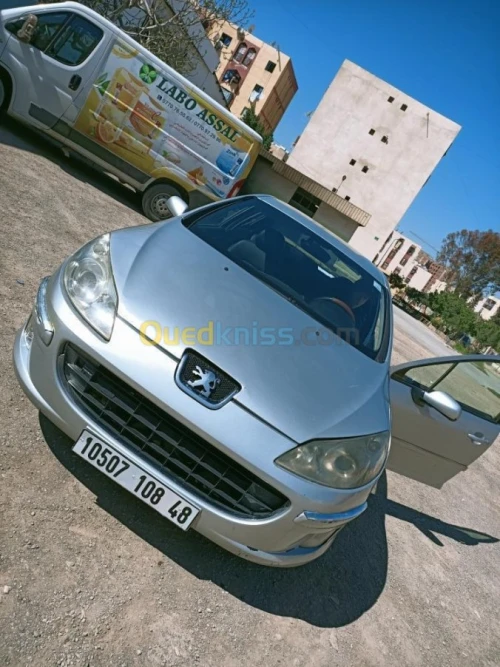 Peugeot 407 2008 