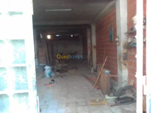 Location Hangar Alger Saoula