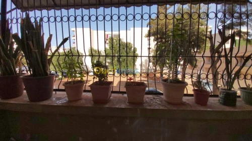 Vente Appartement F5 Oran Bir el djir