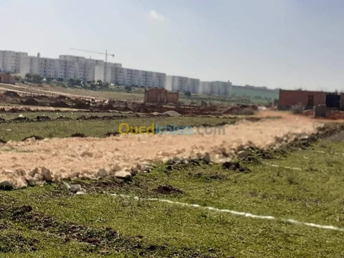 Vente Terrain Ain temouchent Beni saf