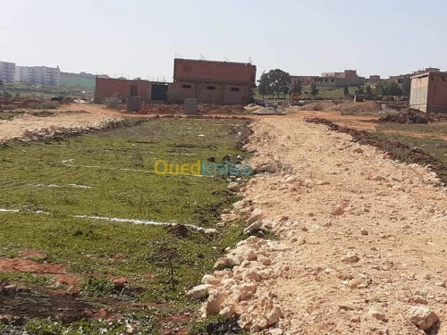 Vente Terrain Ain temouchent Beni saf
