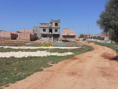 Vente Terrain Ain temouchent Beni saf