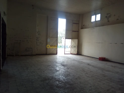 Location Hangar Bejaia El kseur