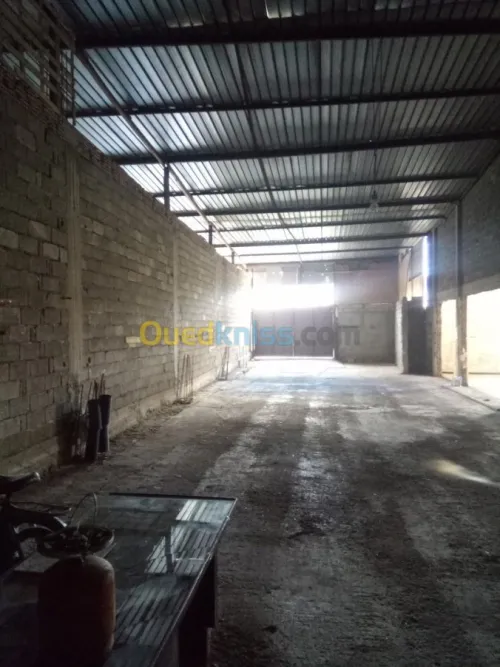 Location Hangar Bejaia El kseur