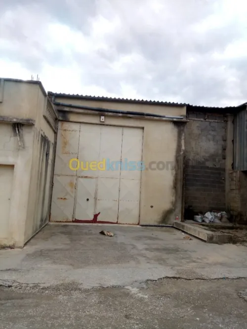 Location Hangar Bejaia El kseur
