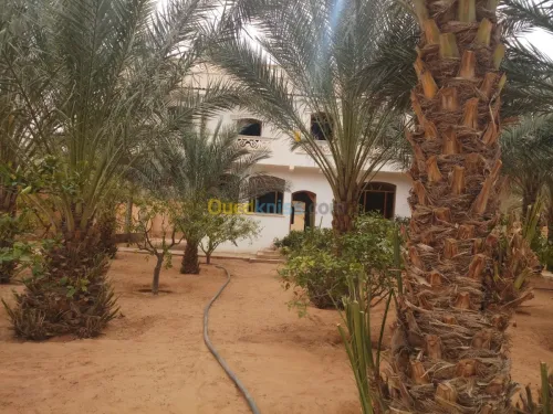 Vente Villa Ghardaia Dhayet bendhahoua
