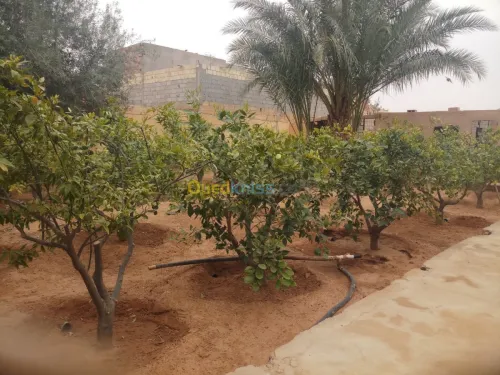 Vente Villa Ghardaia Dhayet bendhahoua