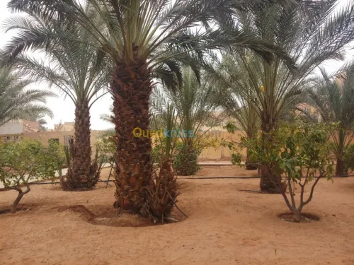 Vente Villa Ghardaia Dhayet bendhahoua