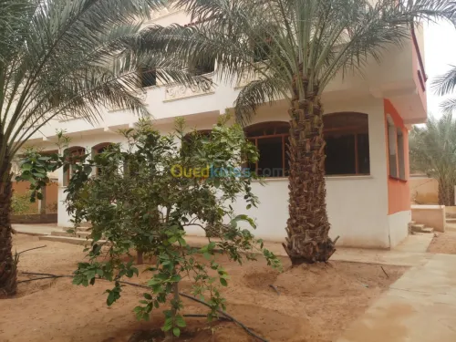 Vente Villa Ghardaia Dhayet bendhahoua