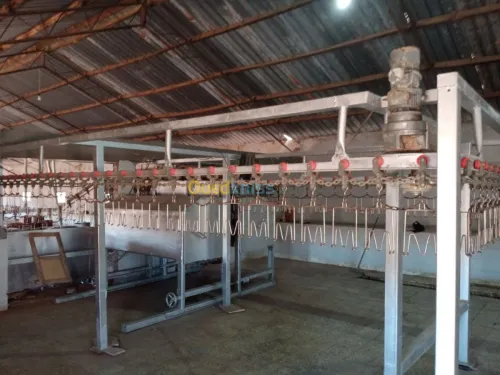  Abattoir de poulet automatic