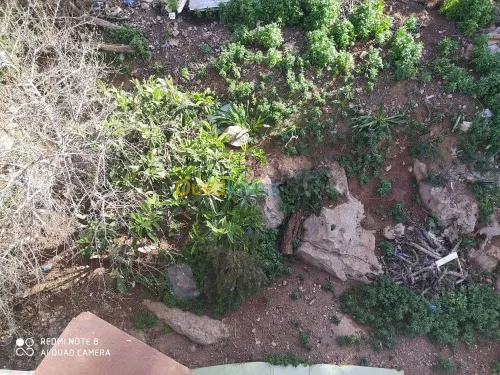 Vente Niveau De Villa F5 Tlemcen Chetouane