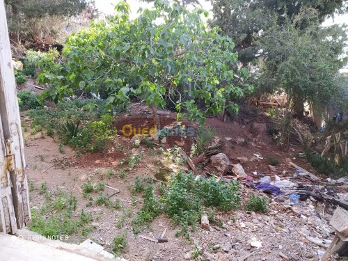 Vente Niveau De Villa F5 Tlemcen Chetouane