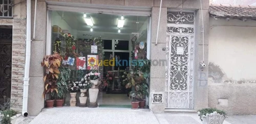 Vente Niveau De Villa Batna Batna